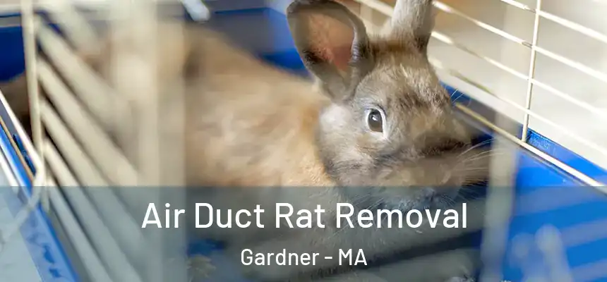 Air Duct Rat Removal Gardner - MA