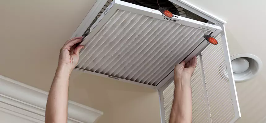 Preventive Cockroach-Proofing for Ducts in Gardner