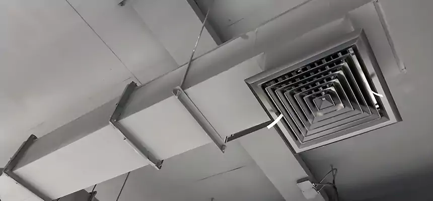 Our Rodent Droppings In Vents Services in Gardner, MA