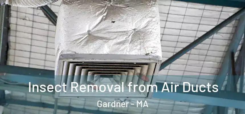 Insect Removal from Air Ducts Gardner - MA