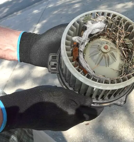 About Air Duct Rat Removal in Gardner, MA