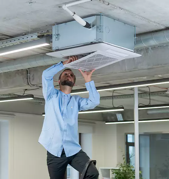 Advanced Rodent Droppings In Vents in Gardner, MA