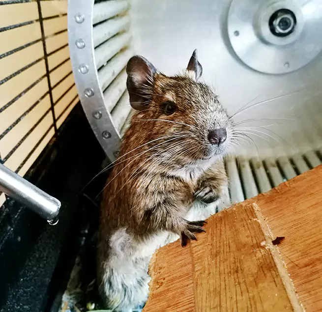 Why Homeowners & Businesses Trust Us Gardner, MA