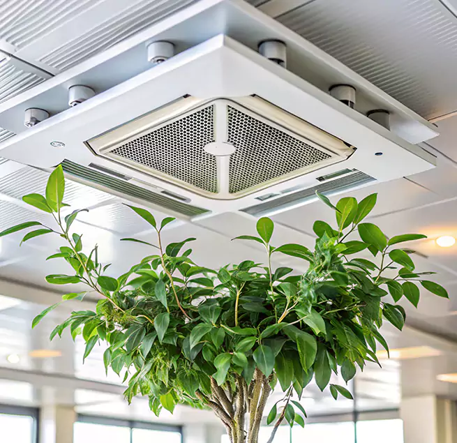 Why Homeowners & Businesses Trust Us in Gardner, MA?